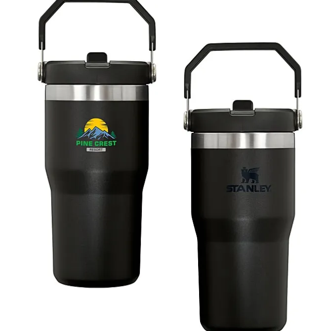 Stanley IceFlow Flip Straw Tumbler - 20 oz - Full Color