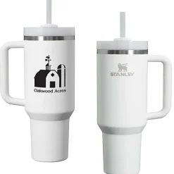 Stanley Quencher H2.0 FlowState Vacuum Mug with Straw - 40 oz - 24 hr