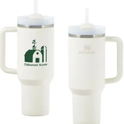 Stanley Quencher H2.0 FlowState Vacuum Mug with Straw - 40 oz - 24 hr