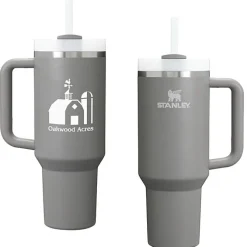Stanley Quencher H2.0 FlowState Vacuum Mug with Straw - 40 oz - 24 hr