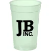 Sun Fun Stadium Cup - 17 oz - 24 hr