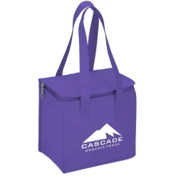 Therm-O Square Insulated Lunch Cooler