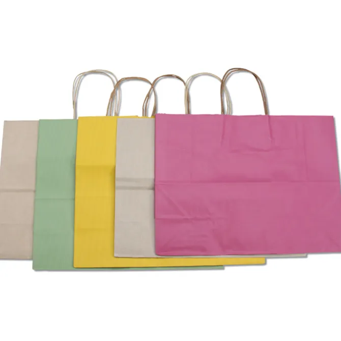 Tonal Striped Matte Paper Bag - 13 inches x 16 inches