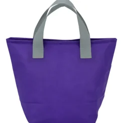 Totable Lunch Cooler Tote - 24 hr