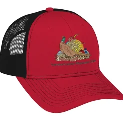 Transporter Snapback Meshback Cap