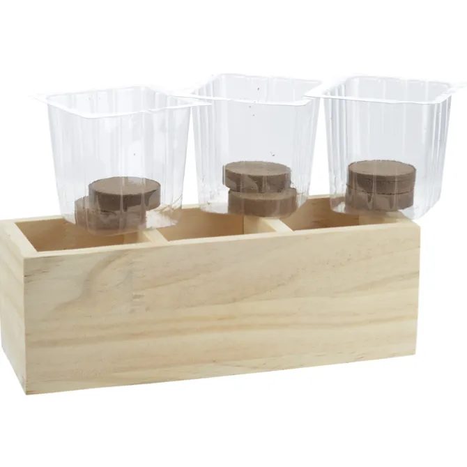 Triple Planter Grow Kit - Cucumber Dill
