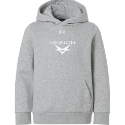 Under Armour Team Icon Fleece Hoodie - Youth - Screen