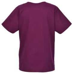 Wink Mechanical Stretch V-Neck Top - Ladies'